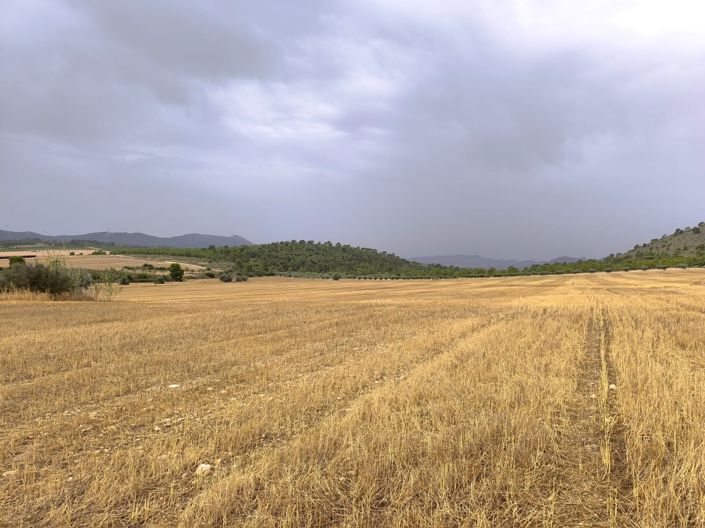 Image No.10-Land for sale