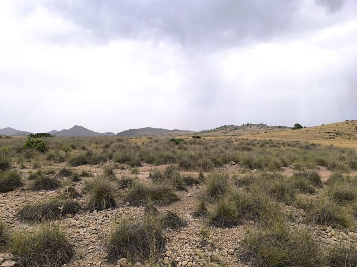 Image No.14-Land for sale