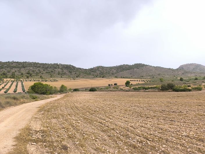 Image No.2-Land for sale