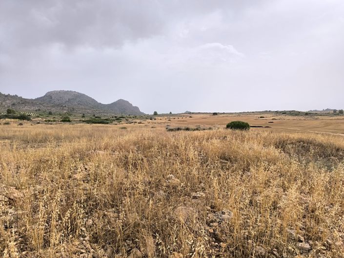 Image No.4-Land for sale