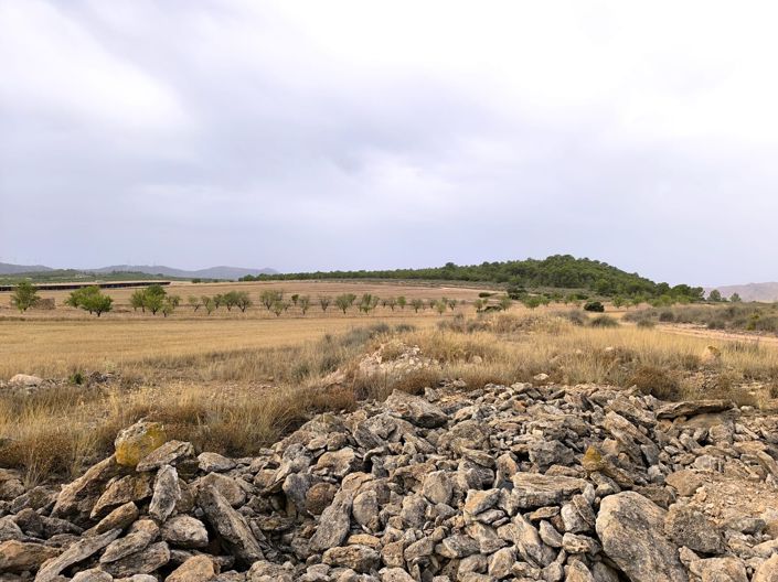 Image No.6-Land for sale