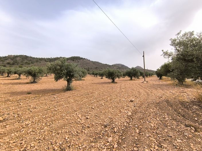 Image No.8-Land for sale