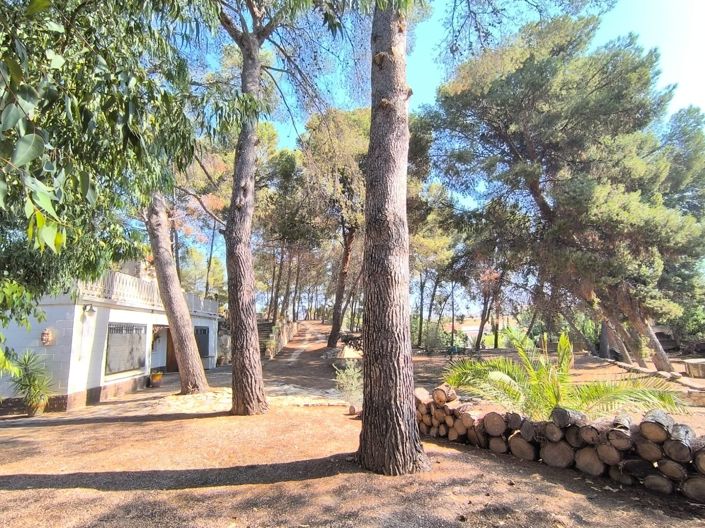 Image No.42-Villa de 10 chambres à vendre à Monóvar