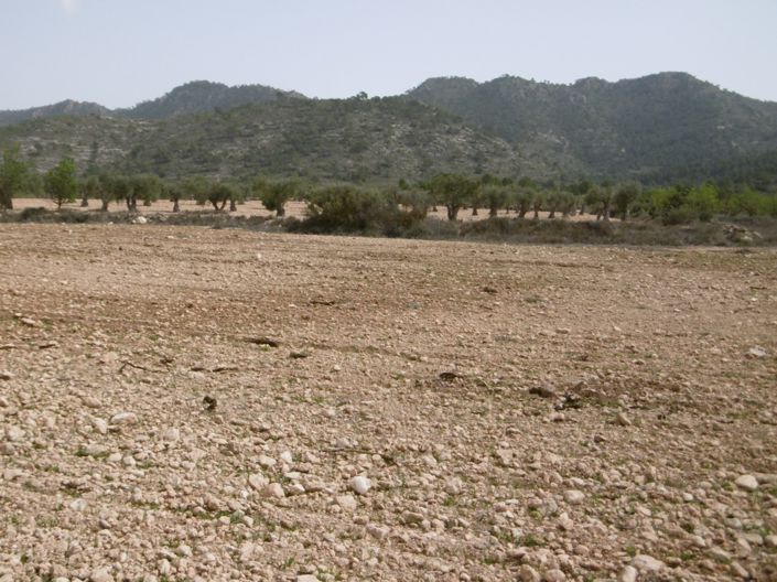 Image No.2-Land for sale