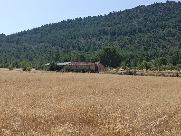 Image No.3-3 Bed Property for sale