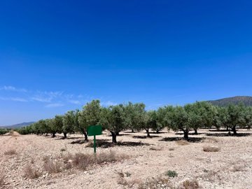 o1jrt0fdu116lp1psf10aq42impg1m