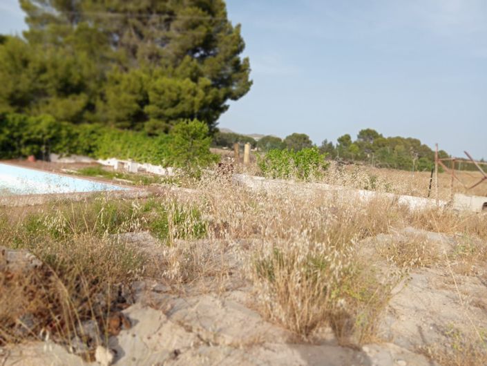 Image No.6-5 Bed Villa for sale