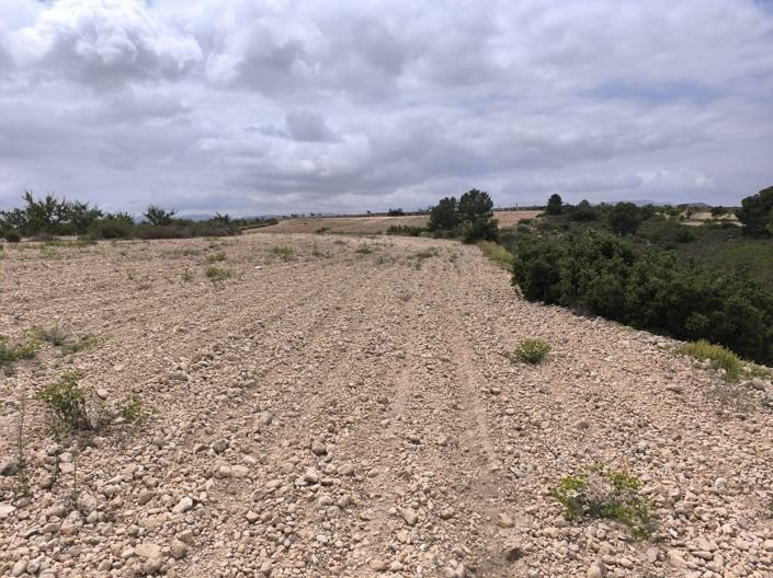 Image No.13-Land for sale
