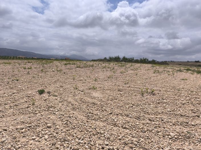 Image No.14-Land for sale