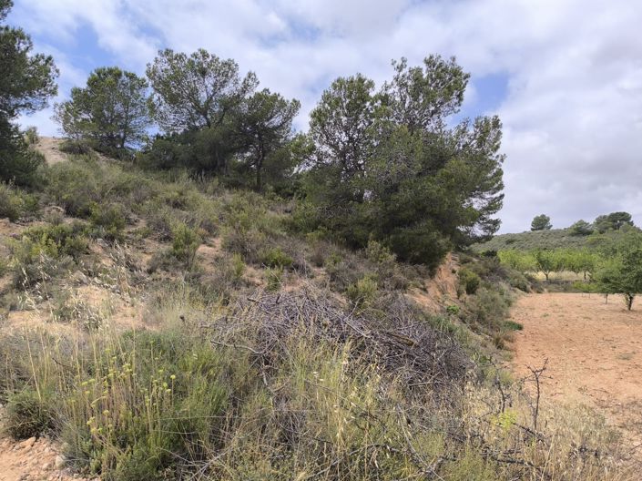 Image No.3-Land for sale