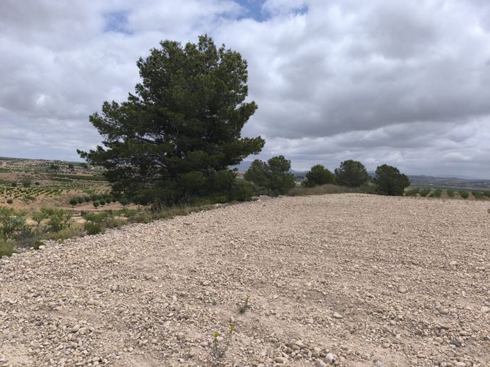 Image No.9-Land for sale