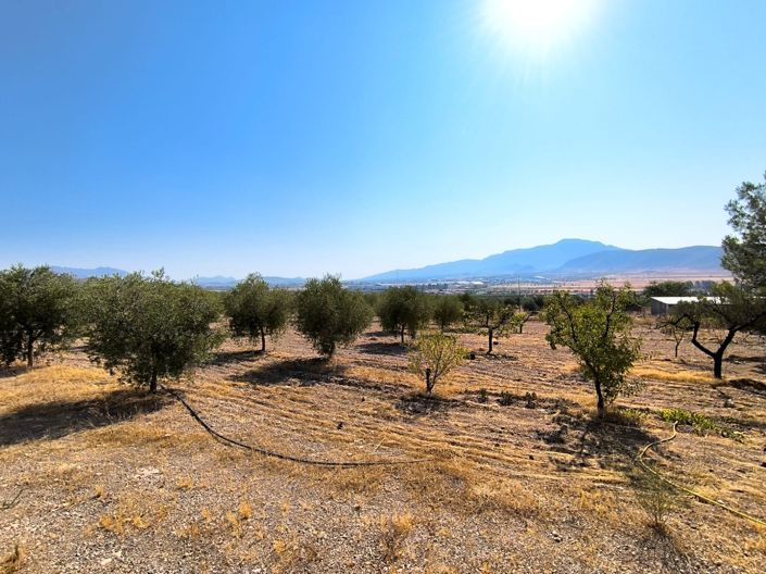 Image No.28-5 Bed Villa for sale