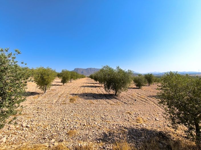 Image No.29-5 Bed Villa for sale