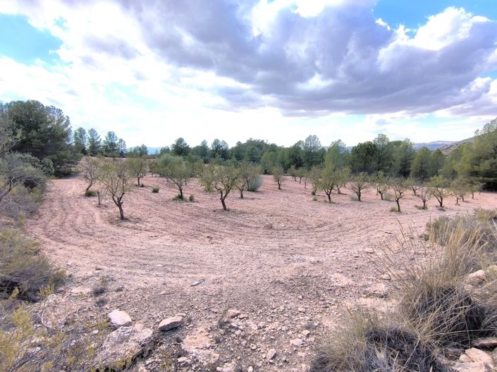 Image No.12-Land for sale