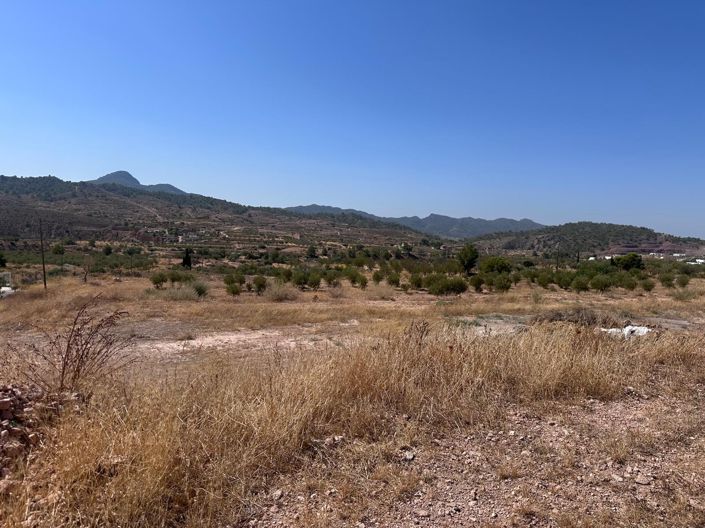 Image No.3-Terre à vendre à Macisvenda