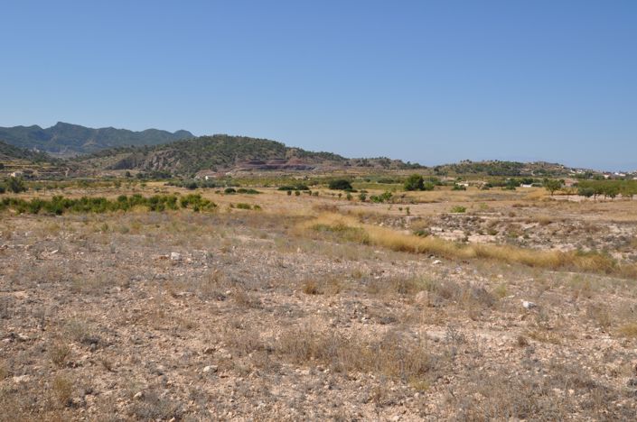 Image No.7-Terre à vendre à Macisvenda
