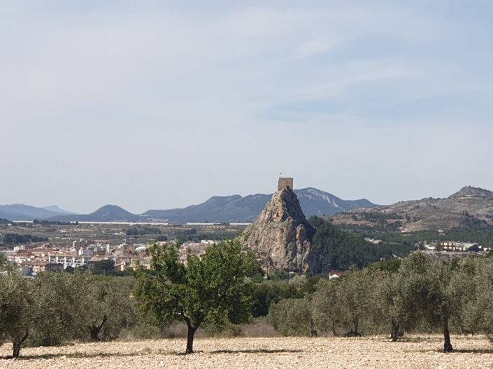Image No.2-Land for sale
