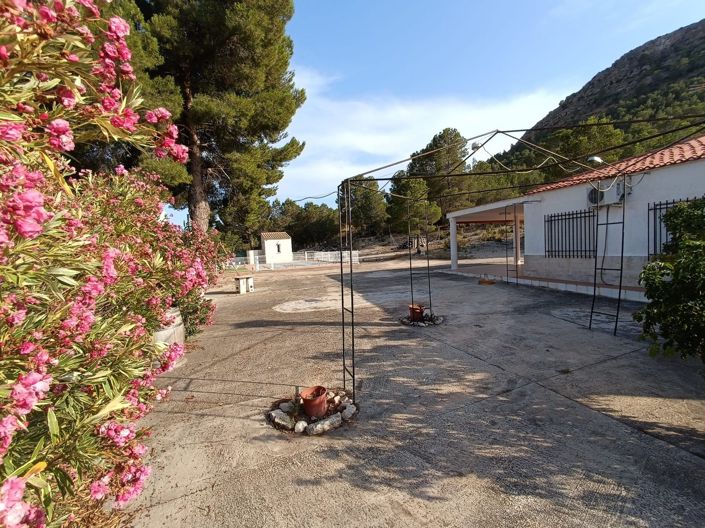 Image No.5-3 Bed Villa for sale