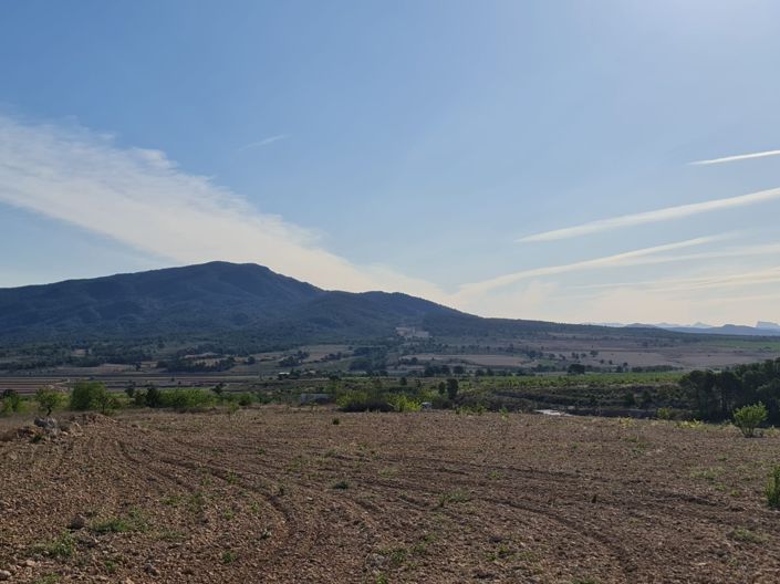 Image No.10-Land for sale