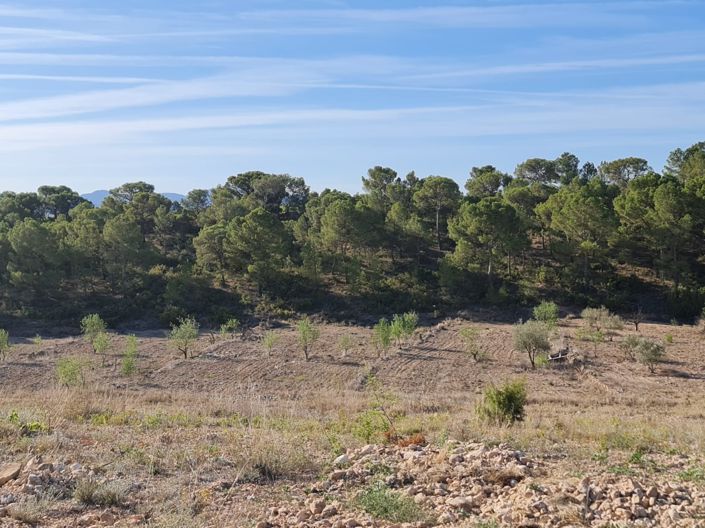 Image No.12-Land for sale