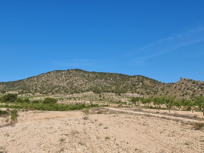 Image No.14-Land for sale