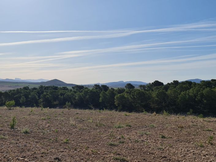 Image No.16-Land for sale
