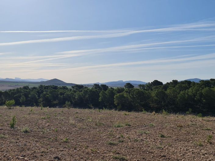 Image No.16-Land for sale