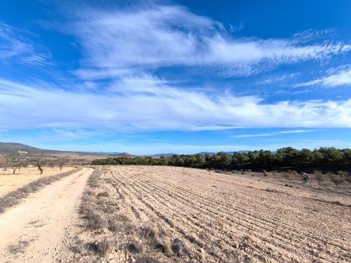 Image No.2-Land for sale