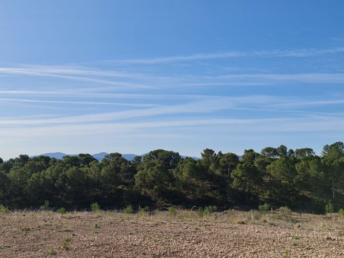 Image No.3-Land for sale