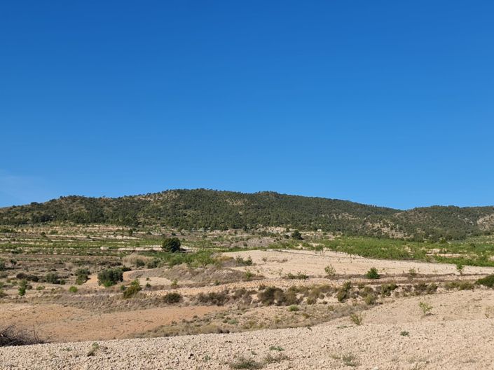 Image No.5-Land for sale