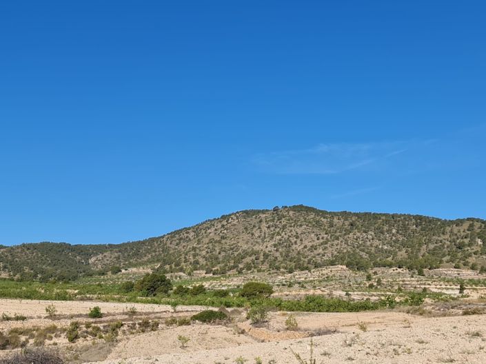 Image No.6-Land for sale