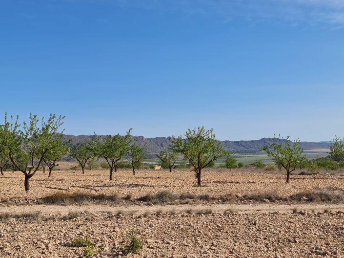 Image No.8-Land for sale