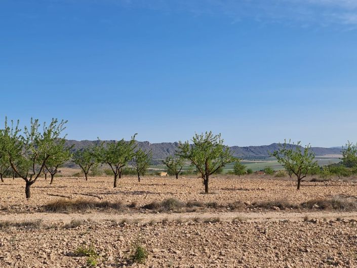 Image No.8-Land for sale