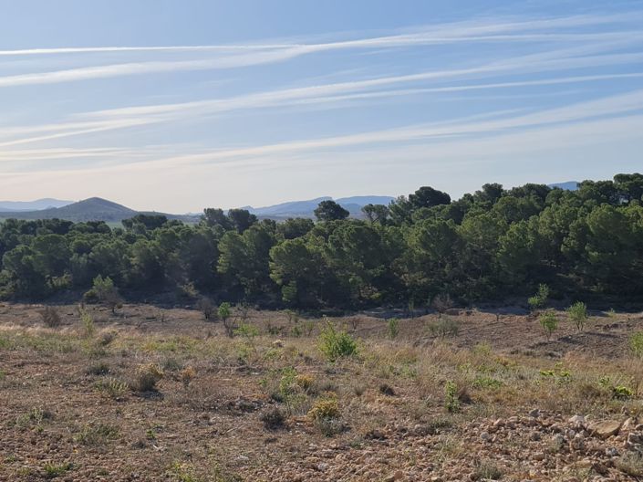 Image No.9-Land for sale
