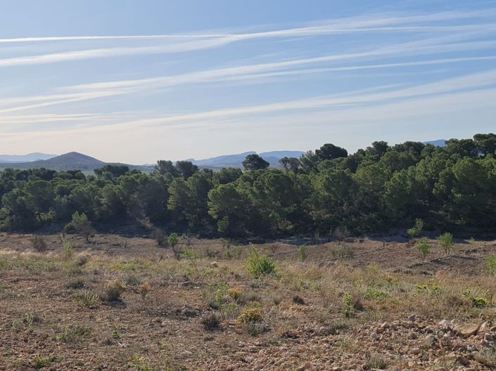Image No.9-Land for sale