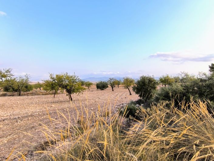 Image No.2-Land for sale