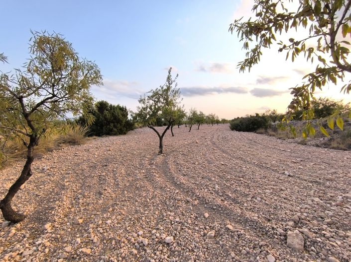 Image No.4-Land for sale