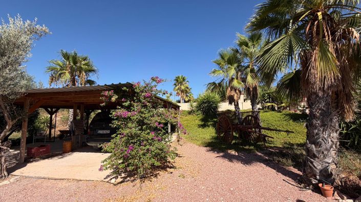 Image No.24-3 Bed Country House for sale