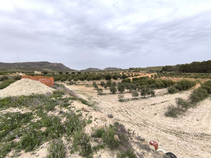 Image No.2-Terre de 2 chambres à vendre à Jumilla