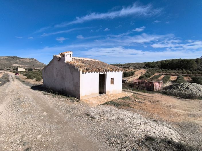Image No.3-Terre de 2 chambres à vendre à Jumilla