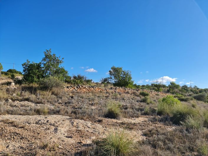 Image No.8-Land for sale