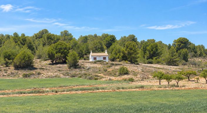 Image No.2-Maison de campagne à vendre à Pinoso