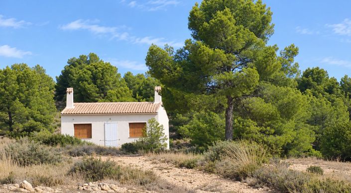 Image No.6-Maison de campagne à vendre à Pinoso