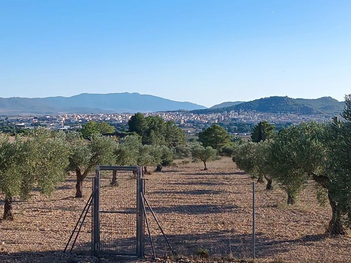 Image No.19-5 Bed Country House for sale
