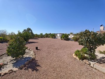 villa-pinoso-dm5102-12
