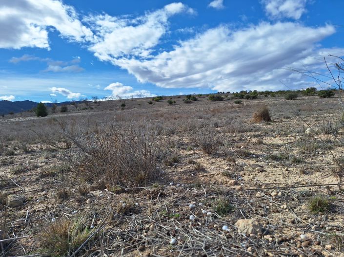 Image No.14-Land for sale