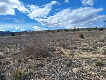 img-20240216-wa0025