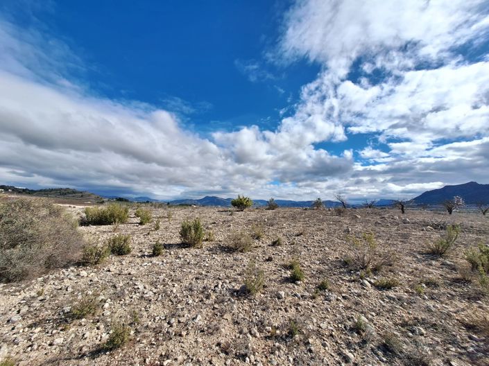 Image No.31-Land for sale