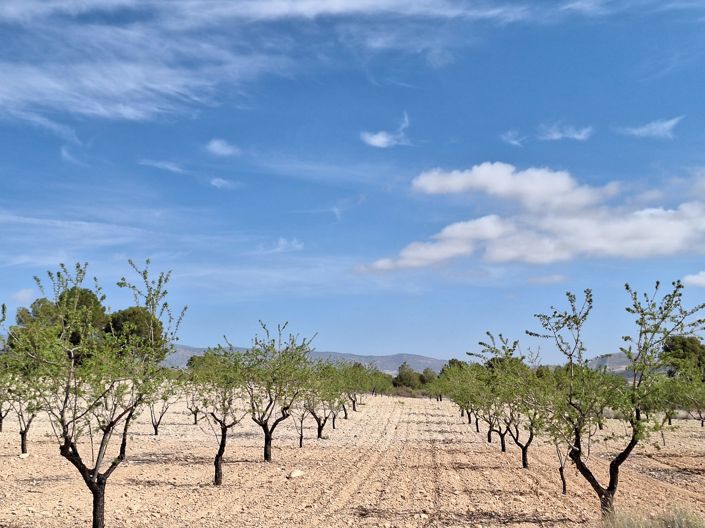 Image No.3-Land for sale