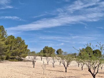 img-20240418-wa0007